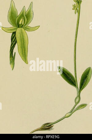 . Album des moulins de l'Europe centrale et septentrionale. . Veuillez noter que ces images sont extraites de la page numérisée des images qui peuvent avoir été retouchées numériquement pour plus de lisibilité - coloration et l'aspect de ces illustrations ne peut pas parfaitement ressembler à l'œuvre originale.. Montaubion-chardonney, Henry, 1854-1939. Genève, Librairie Georg Banque D'Images