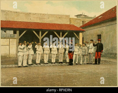 . Album militaire. La France. Armée ; Chevaux ; des uniformes militaires. Service intérieur de la cavalerie. ECOLE DES TROMPETTES Le maréchal des logis trompette major, secondé par le brigadier trompette, est chargé de l'instruction des trb- Fabrice Carlier et élèves trompettes, auxquels il apprend les différentes sonneries du service intérieur et du règlement d'exercices. Certains régiments de cavalerie forment, avec leurs trompettes, une fanfare qui égaie le régiment dans ses marches et joue dans les concerts publics en plein air des villes de garnison.. Veuillez noter que ces images sont extraites de la page numérisée im Banque D'Images