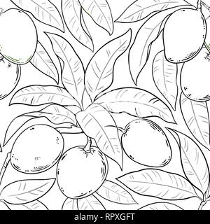 Vecteur de mangue sur fond blanc Illustration de Vecteur