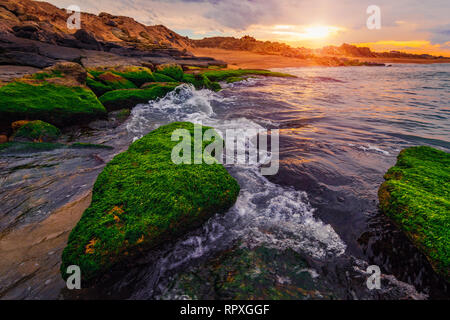Coucher de soleil coloré au bord de la mer avec des algues vertes Banque D'Images