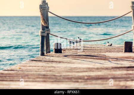 Scène calme de mouettes perchées sur une jetée en bois rustique vieux abandonnés à la mer pendant une journée ensoleillée sur la côte des Caraïbes du Mexique. Banque D'Images