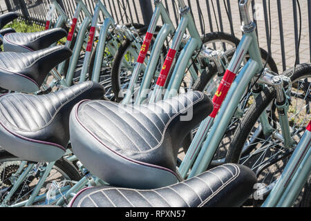 Location de sièges. Stand des vélos dans une rangée. Banque D'Images