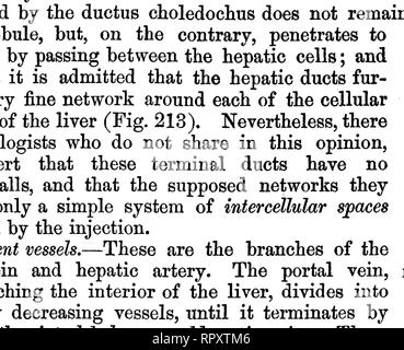 . L'anatomie comparée des animaux domestiques. Anatomie vétérinaire. La section HORIZONTALE DE TROIS LOBULES superficiels, montrant les deux principaux systèmes de vaisseaux sanguins. a, un Intralobular, veines, à destination des veines hépatiques ; 6, 6, plexus Interlobulaires, formé par des branches de la veine porte. réalisé à partir de la périphérie vers le centre de l'lobule, où ils s'unissent pour former le vaisseau afférent. Il résulte de cette disposition que les cellules hépatiques qui remplir les espaces qui ^^' * entre les navires sont placés en série rayonnant. Série efférent.-situé au centre des lobules Banque D'Images