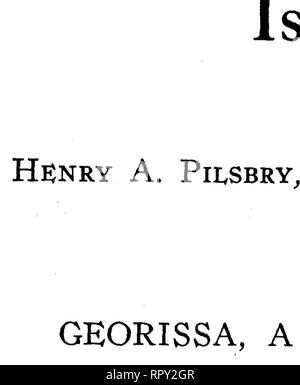 . Des escargots de Hawaï, l'île de Noël, et Samoa. Mollusques les mollusques escargots ; ; ; mollusques. Bernice P. Bishop Museum-Bulletin 47 Le début de la dernière spire sont sur 5 ou 6 cordes entre lèvre et ; suture sur la base les spirales sont plus petits et plus faibles. L'ouverture oblique est un peu plus large qu'en plein cintre. Marge Columellar tout droit, légèrement calleuse. Je Longueur mm., diam. o.8 mm., hauteur d'aperture, 0,5 mm.. Veuillez noter que ces images sont extraites de la page numérisée des images qui peuvent avoir été retouchées numériquement pour plus de lisibilité - coloration et l'apparition de ces illustrations peuvent n Banque D'Images