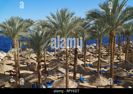 Des chaises longues sous un parasol sur la plage de la mer de sable et palmiers dans l'Egypte, Sharm el Sheikh, notion de temps pour voyager Banque D'Images