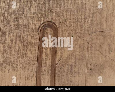 Vue aérienne de la zone de récolte, domaine de terre à proximité de Santa Ana, Sonora, Mexique. formes, figures, des lignes, de l'Agriculture, l'agronomie, le paysage, tous les jours Banque D'Images
