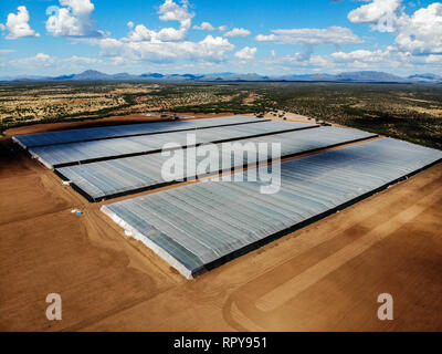 Vue aérienne de pépinière, domaine de la culture, domaine de terres dans les environs de Santa Ana, Sonora, Mexique. Les nuages, l'Agriculture, l'Agronomie, Paysage Banque D'Images