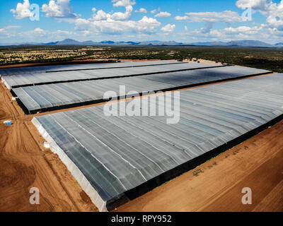 Vue aérienne de pépinière, domaine de la culture, domaine de terres dans les environs de Santa Ana, Sonora, Mexique. Les nuages, l'Agriculture, l'Agronomie, Paysage Banque D'Images