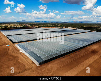 Vue aérienne de pépinière, domaine de la culture, domaine de terres dans les environs de Santa Ana, Sonora, Mexique. Les nuages, l'Agriculture, l'Agronomie, Paysage Banque D'Images