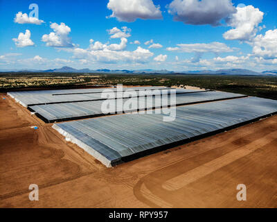 Vue aérienne de pépinière, domaine de la culture, domaine de terres dans les environs de Santa Ana, Sonora, Mexique. Les nuages, l'Agriculture, l'Agronomie, Paysage Banque D'Images