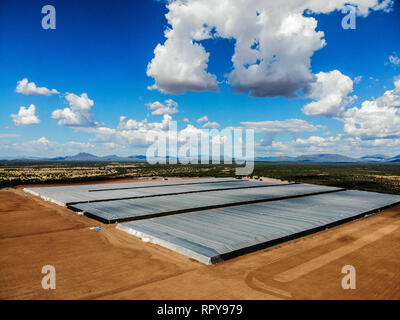 Vue aérienne de pépinière, domaine de la culture, domaine de terres dans les environs de Santa Ana, Sonora, Mexique. Les nuages, l'Agriculture, l'Agronomie, Paysage Banque D'Images
