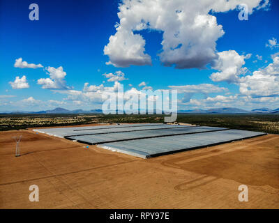 Vue aérienne de pépinière, domaine de la culture, domaine de terres dans les environs de Santa Ana, Sonora, Mexique. Les nuages, l'Agriculture, l'Agronomie, Paysage Banque D'Images