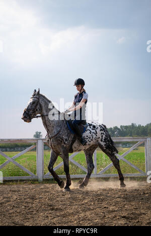 Belle jeune femme jockey sur un cheval à l'extérieur. Athlète féminin monte un cheval en manège ouvert Banque D'Images