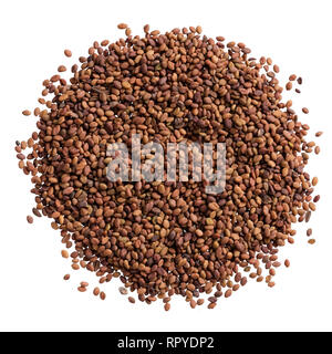 Un tas de semences de qualité de balsamina, fleur pour votre adorable jardin. Banque D'Images