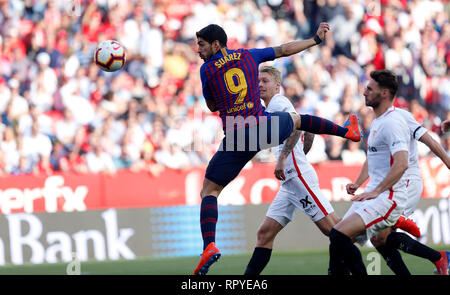 Luis Suarez (FC Barcelone) vu en action pendant la match de la Liga entre le FC Séville et Futbol Club Barcelona au stade Sanchez Pizjuan de Séville, en Espagne. ( Score final ; Sevilla FC 2:4 Futbol Club Barcelona ) Banque D'Images