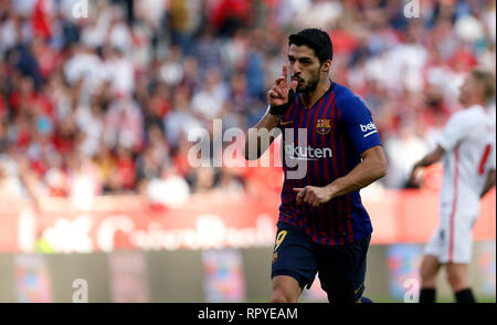 Luis Suarez (FC Barcelone) vu célébrer après avoir marqué un but au cours de la La Liga match entre FC Séville et Futbol Club Barcelona au stade Sanchez Pizjuan de Séville, en Espagne. ( Score final ; Sevilla FC 2:4 Futbol Club Barcelona ) Banque D'Images