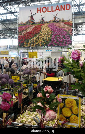 Leipzig, Allemagne. Feb 23, 2019. Bulbes à fleurs de Hollande sont vendues à la 'Haus Garten Freizeit' trade fair au Leipziger Messe. Parallèlement à la 'Haus Garten Freizeit' le itteldeutsche Handwerksmesse 2019 'juste' a lieu du 23.02.-03.03.2019. Crédit : Peter Endig/dpa/Alamy Live News Banque D'Images