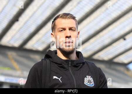 Newcastle Upon Tyne, au Royaume-Uni. Feb 23, 2019. Le Newcastle United Federico Fernandez arrive avant le premier match de championnat entre Newcastle United et Huddersfield Town à St James Park, Newcastle Le samedi 23 février 2019. (Crédit : Steven Hadlow | MI News) Credit : MI News & Sport /Alamy Live News Banque D'Images