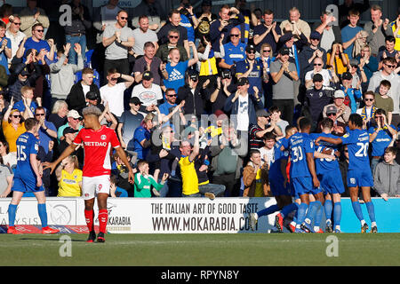 Kingston, Surrey, UK. Feb 23, 2019. Objectif - Michael Folivi de Wimbledon donne l'héberge le leader au cours de l'EFL Sky Bet League 1 match entre l'AFC Wimbledon et Charlton Athletic au Cherry Red Records Stadium, Kingston, en Angleterre, le 23 février 2019. Photo par Carlton Myrie. Usage éditorial uniquement, licence requise pour un usage commercial. Aucune utilisation de pari, de jeux ou d'un seul club/ligue/dvd publications. Credit : UK Sports Photos Ltd/Alamy Live News Banque D'Images