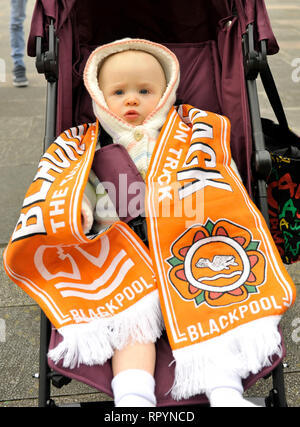 23 février 2019. Un supplément de 700 fans sont venus à la première rencontre à domicile (contre oxford) après un récepteur a pris en charge au club après la longue bataille juridique entre Owen Oyston propriétaire et ancien actionnaire d'affaires letton Valeri Belokon. Plus jeune membre de Blackpool partisans la confiance dans la bonne humeur avant le kick off Lara Dunn, 14 mois. Kev Walsh/Alamy Live News Banque D'Images