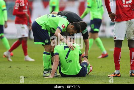 Mainz, Allemagne. Feb 23, 2019. firo : 23.02.2019 Football, Football : 1. Saison 2018/2019, Bundesliga FSV FSV Mainz 05 - FC Schalke 04 S04 Mark Chu, dommage, blessure, l'utilisation dans le monde entier | Credit : dpa/Alamy Live News Banque D'Images