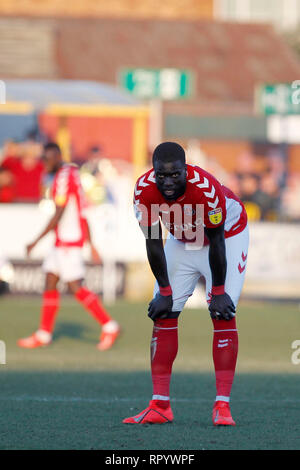 Kingston, Surrey, UK. Feb 23, 2019. Au cours de l'EFL Sky Bet League 1 match entre l'AFC Wimbledon et Charlton Athletic au Cherry Red Records Stadium, Kingston, en Angleterre, le 23 février 2019. Photo par Carlton Myrie. Usage éditorial uniquement, licence requise pour un usage commercial. Aucune utilisation de pari, de jeux ou d'un seul club/ligue/dvd publications. Credit : UK Sports Photos Ltd/Alamy Live News Banque D'Images