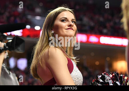 Philadelphie, Pennsylvanie, USA. Feb 23, 2019. Un Temple Owls Gems diamants membre de l'équipe de danse présenté au cours de la American Athletic Conference match de basket-ball joué au Liacouras Center de Philadelphie. Temple beat Tulsa 84-73. Credit : Ken Inness/ZUMA/Alamy Fil Live News Banque D'Images