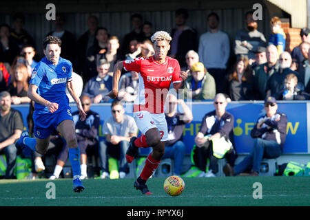 Kingston, Surrey, UK. Feb 23, 2019. Lyle Taylor de Charlton Athletic au cours de l'EFL Sky Bet League 1 match entre l'AFC Wimbledon et Charlton Athletic au Cherry Red Records Stadium, Kingston, en Angleterre, le 23 février 2019. Photo par Carlton Myrie. Usage éditorial uniquement, licence requise pour un usage commercial. Aucune utilisation de pari, de jeux ou d'un seul club/ligue/dvd publications. Credit : UK Sports Photos Ltd/Alamy Live News Banque D'Images