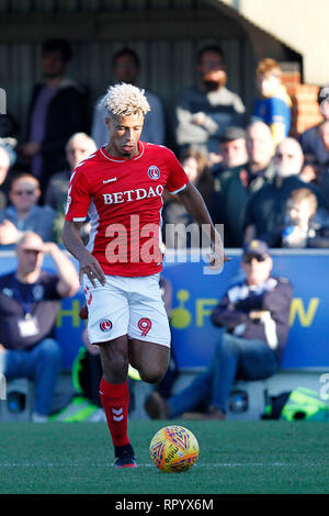 Kingston, Surrey, UK. Feb 23, 2019. Lyle Taylor de Charlton Athletic attaques dans la EFL Sky Bet League 1 match entre l'AFC Wimbledon et Charlton Athletic au Cherry Red Records Stadium, Kingston, en Angleterre, le 23 février 2019. Photo par Carlton Myrie. Usage éditorial uniquement, licence requise pour un usage commercial. Aucune utilisation de pari, de jeux ou d'un seul club/ligue/dvd publications. Credit : UK Sports Photos Ltd/Alamy Live News Banque D'Images