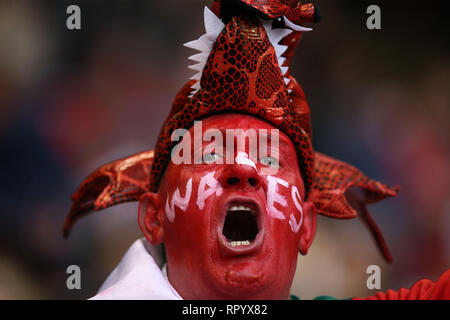 Cardiff, Royaume-Uni. Feb 23, 2019. Pays de Galles fans célébrer. Pays de Galles v Angleterre, Six Nations 2019 Guinness international rugby match à la Principauté Stadium de Cardiff, Pays de Galles, Royaume-Uni Le samedi 23 février 2019. Photos par Andrew Verger/Alamy Live News VEUILLEZ NOTER PHOTO DISPONIBLE POUR UN USAGE ÉDITORIAL UNIQUEMENT Banque D'Images