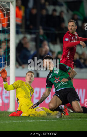 Bruges, Belgique. Feb 23, 2019. BRUGES, BELGIQUE - 23 février : Paul Nardi et Lloyd Palun de cercle au cours de la Jupiler Pro League matchday 27 entre Cercle Brugge et KV Oostende sur février 23, 2019 à Bruges, Belgique. (Photo de Frank Abbeloos/Isosport) Credit : Pro Shots/Alamy Live News Banque D'Images