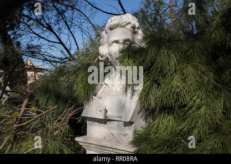 Arbre tombé le long de la promenade du mont Janicule à Rome Banque D'Images