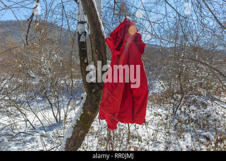 Veste de sport rouge accroché sur les branches d'arbres dans la forêt d'hiver Banque D'Images