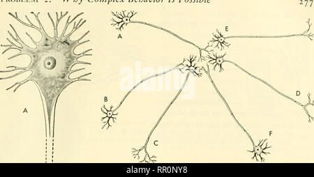 . Aventures avec les animaux et les plantes. La biologie. Problème 2. Pourquoi Co ?nplex comportement est possible. Veuillez noter que ces images sont extraites de la page numérisée des images qui peuvent avoir été retouchées numériquement pour plus de lisibilité - coloration et l'aspect de ces illustrations ne peut pas parfaitement ressembler à l'œuvre originale.. Kroeber, Elsbeth, 1882- ; Wolff, Walter Harold, 1901-. Boston : D. C. Heath Banque D'Images