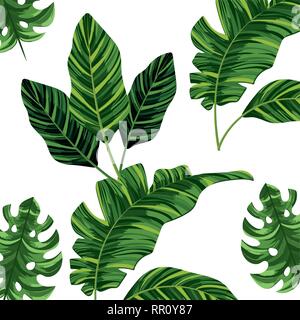 Feuilles nature cartoon Illustration de Vecteur