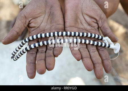 Femme Bushmen du peuple San fabrication de bijoux de coquille d'œufs d'autruche, Kalahari, Namibie, Afrique Banque D'Images