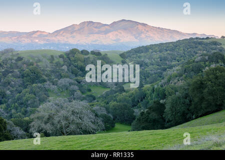 Mt Diablo vus de Briones Regional Park au coucher du soleil. Banque D'Images