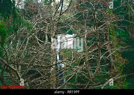 Dyserth,Uk Dyserth cascades sait que le joyau du nord du Pays de Galles Ian crédit Fairbrother/Alamy Stock Photos Banque D'Images