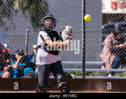 En softball catcher uniforme blanc de lancer un pick up jouer au premier but au cours de match entre la technologie Foothill High School et Pioneer Valley Banque D'Images