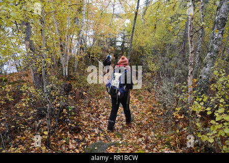 Un groupe de randonneurs marchant le long du sentier du lac Devil, sentier de randonnée près de Stanley Mission, dans le nord de la Saskatchewan, Canada. Banque D'Images