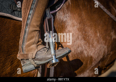 Close-up of a leather boot dans le mors cheval brun Banque D'Images