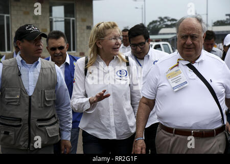 Caracas, Venezuela. Feb 23, 2019. Le Venezuela a évincé haut procureur Luisa Ortega, sur Tienditas Bridge à Cucuta, Colombie le 23 février 2019. Credit : Elyxandro Cegarra/ZUMA/Alamy Fil Live News Banque D'Images