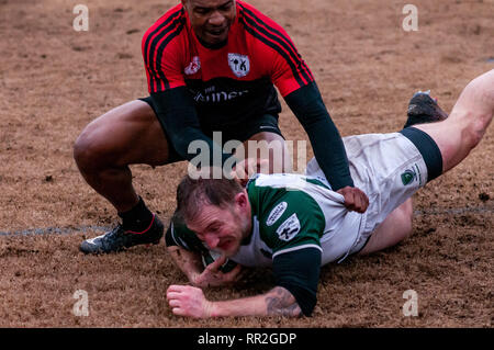 Southern Pines, North Carolina, USA. Feb 23, 2019. 23 février 2019 - Southern Pines, NC, USA - Caroline du Geographic Rugby Union men's rugby action entre les pins du sud ''Big'' Les cônes et Charleston (Caroline du Sud) hors-la-Rugby Football Club au Twin ferme des champs. Arrêt de pins du sud de Charleston, 105-0. Credit : Timothy L. Hale/ZUMA/Alamy Fil Live News Banque D'Images