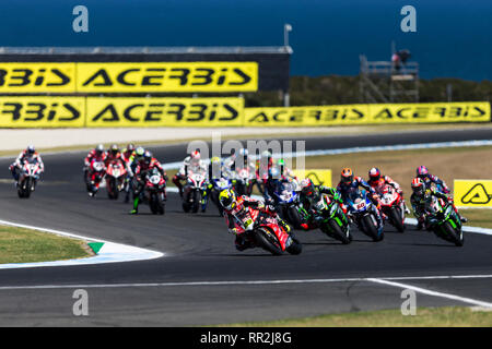 Phillip Island, Australie. Feb 24, 2019. Championnat du Monde Superbike, jour de la course ; Alvaro Bautista mène pendant la Course 2 : Action Crédit Plus Sport/Alamy Live News Banque D'Images