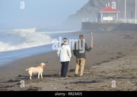 Pays de Galles Aberystwyth UK. Dimanche 24 févr. 2019 météo Royaume-uni : Les gens le dimanche matin, profitant de l'ensoleillement en février incroyablement chaude Aberystwyth, sur la côte ouest du pays de Galles. Le temps devrait rester très bien pour les prochains jours avec la possibilité d'enregistrer les températures ont dans certains endroits Crédit photo : Keith Morris/Alamy Live News Banque D'Images