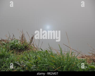 Sheerness, Kent, UK. 24 Février, 2019. Météo France : un épais brouillard dans Sheerness, Kent ce matin. Credit : James Bell/Alamy Live News Banque D'Images