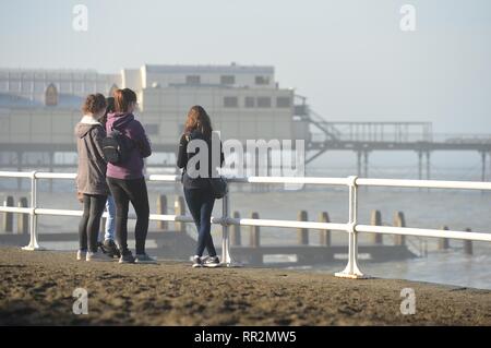 Pays de Galles Aberystwyth UK. Dimanche 24 févr. 2019 météo Royaume-uni : Les gens le dimanche matin, profitant de l'ensoleillement en février incroyablement chaude Aberystwyth, sur la côte ouest du pays de Galles. Le temps devrait rester très bien pour les prochains jours avec la possibilité d'enregistrer les températures ont dans certains endroits Crédit photo : Keith Morris/Alamy Live News Banque D'Images