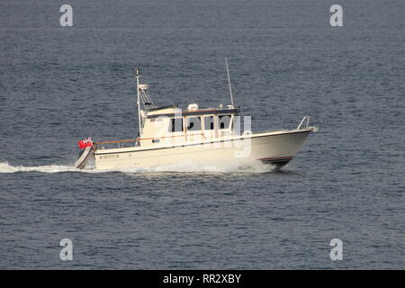 Mouette tridactyle, une entreprise privée 35 Targa motor cruiser, passant Gourock (Cloch Point) sur le Firth of Clyde. Banque D'Images