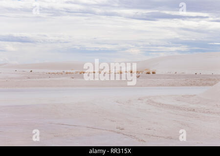 Paysage de White Sands Banque D'Images