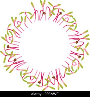 Betterave Microgreens. Disposées en cercle. Supplément de vitamines, de nourriture vegan Illustration de Vecteur